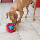 KONG - Gyro - Interactive Treat Dispensing Dog Toy - LARGE