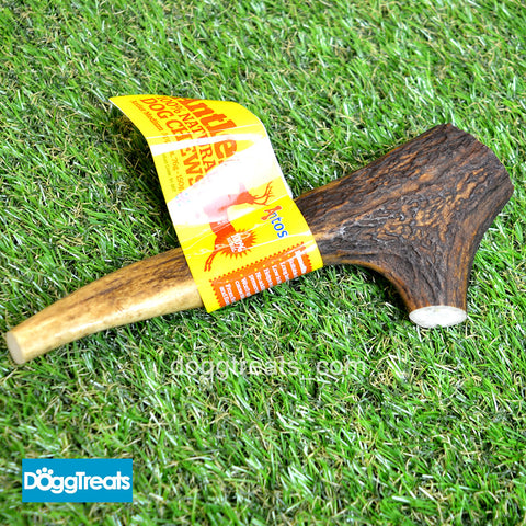 Antos Deer Antler Chews for Dogs - 100% Natural Chew