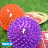 Rosewood Jolly Dog Rubber Spiky Fetch Ball