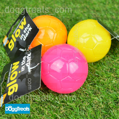Glow in the Dark Squeaky Dog Ball Toy
