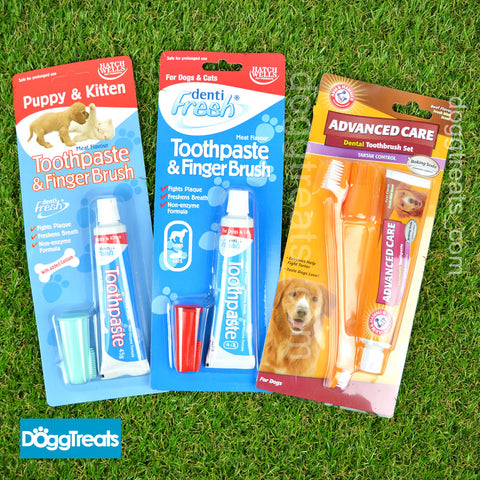 Dog Toothpaste Puppy Cat Kitten Toothbrush Finger Brush Set Pack Dental Hygiene