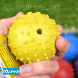 Large Rubber Ball Dog Toy - Pimple Texture - With Bell Jingle - Tough - Throw & Fetch