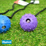 Tough Ball Dog Toy - Rubber Ball with Rope - Durable